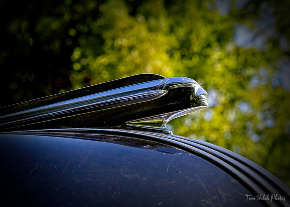 _MG_0186-6D-23