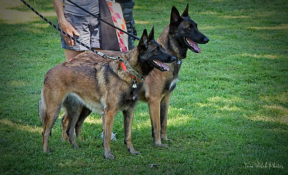 _MG_0173-6D-23
